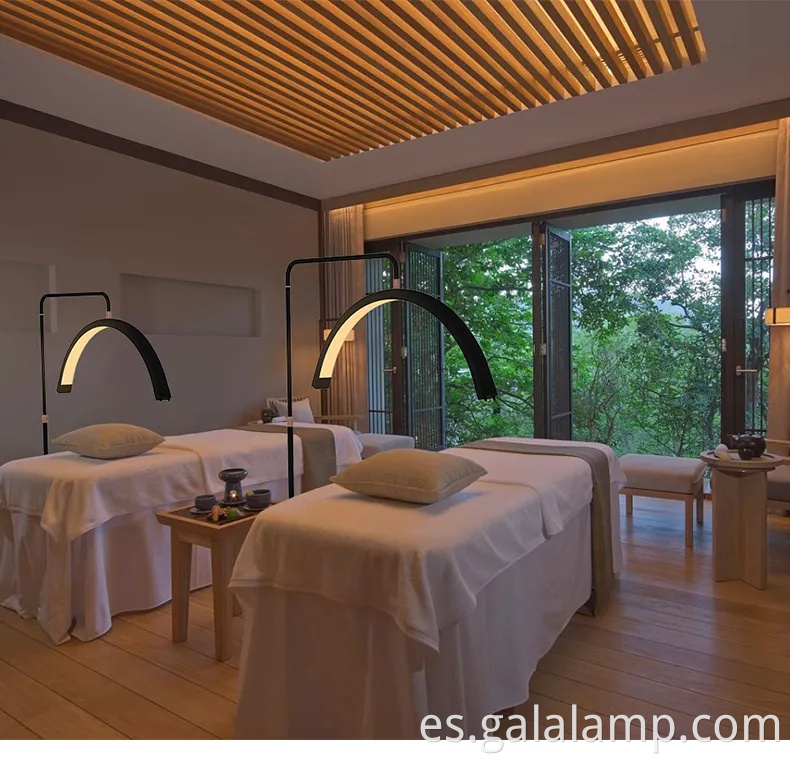 Equipo de belleza LED OEM/ODM de alta calidad para tratamientos de cejas